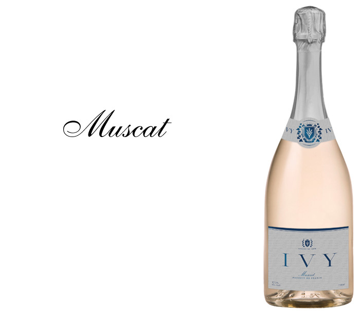 ivy-brand-muscat
